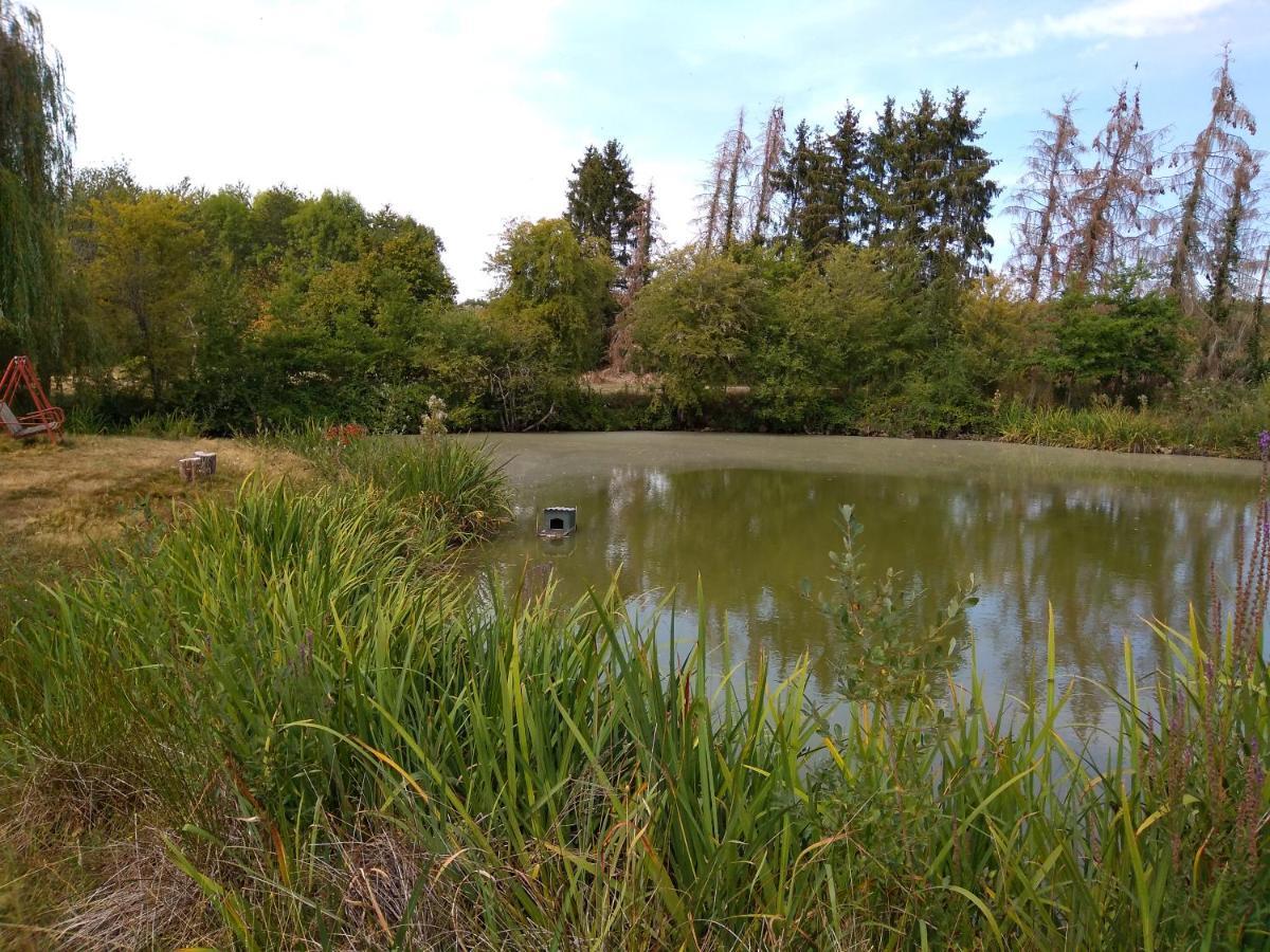 Domaine De La Richardelle Lejlighed Courtenay  Eksteriør billede